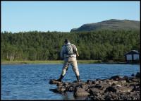 Bifogad bild: norge2010augusti286.jpg